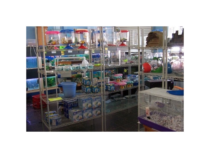 Charters Towers QLD 4820