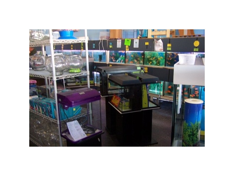 Charters Towers QLD 4820