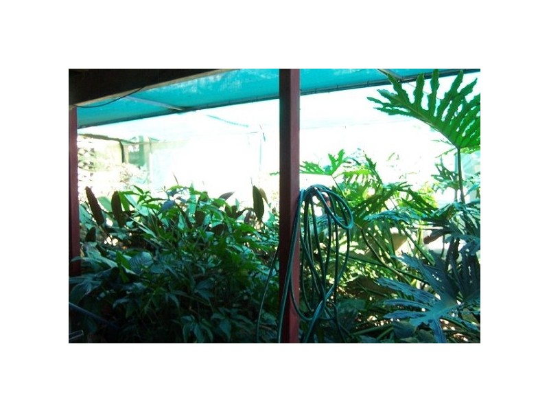 Charters Towers QLD 4820