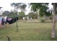 43 Mill Street QUEENTON, Charters Towers QLD 4820