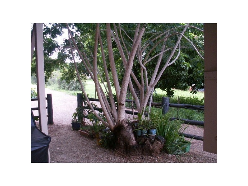 120 Hackett Terrace RICHMOND HILL, Charters Towers QLD 4820