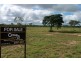 L133,134,135 Wheelers Road COLUMBIA, Charters Towers QLD 4820