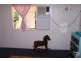37 Baker Street RICHMOND HILL, Charters Towers QLD 4820