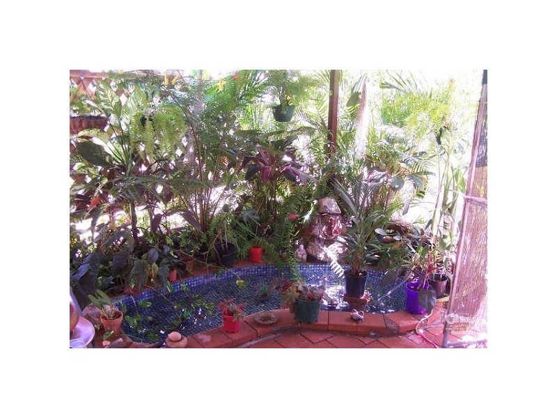 Charters Towers QLD 4820