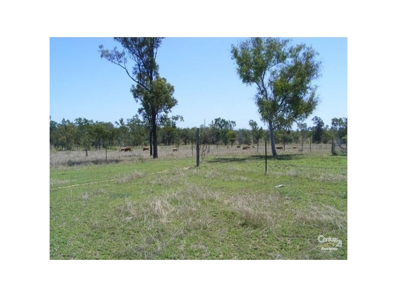 361 Stockroute Road, Charters Towers QLD 4820