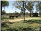 361 Stockroute Road, Charters Towers QLD 4820
