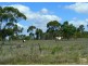 56 PICNIC CREEK RD, Charters Towers QLD 4820