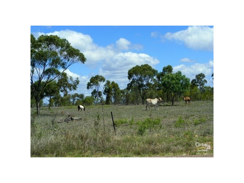 56 PICNIC CREEK RD, Charters Towers QLD 4820