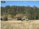 Summerholm QLD 4341
