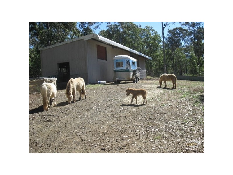 Summerholm QLD 4341