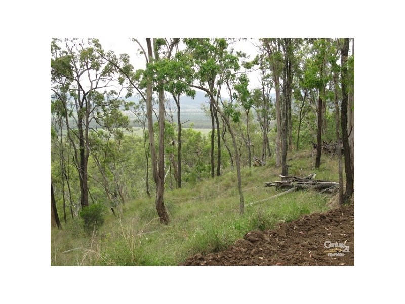 323 Coynes Rd, Mount Mort QLD 4340