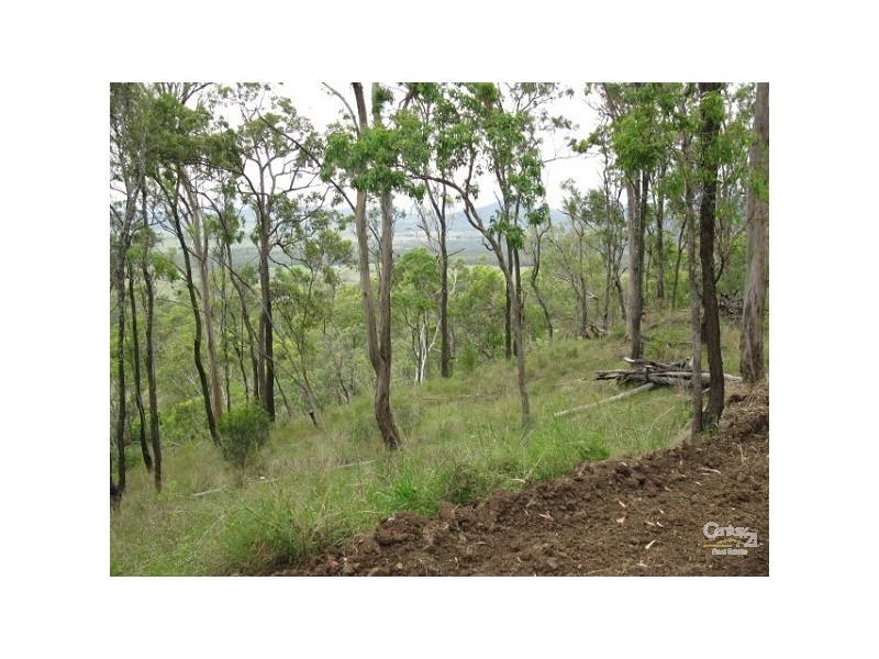 323 Coynes Rd, Mount Mort QLD 4340