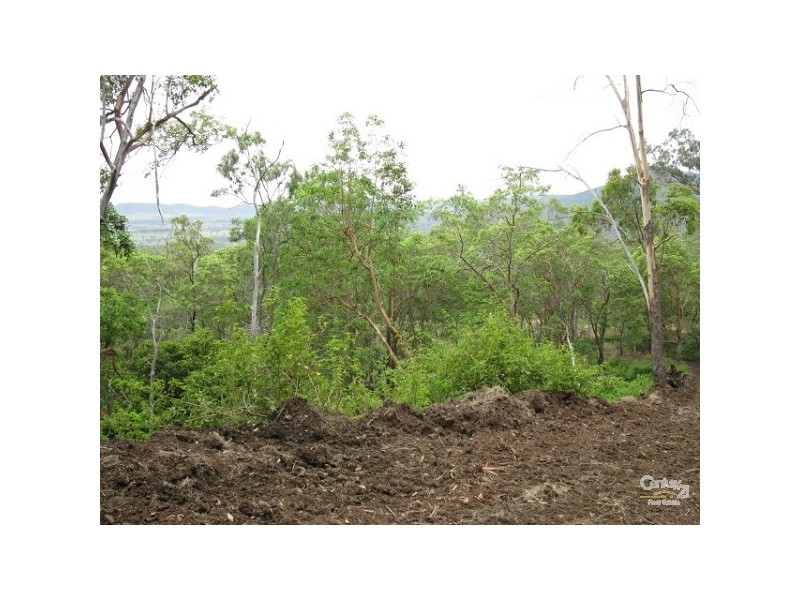 323 Coynes Rd, Mount Mort QLD 4340