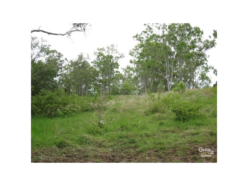 323 Coynes Rd, Mount Mort QLD 4340
