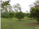 60 Buckingham Crt, Mount Hallen QLD 4312