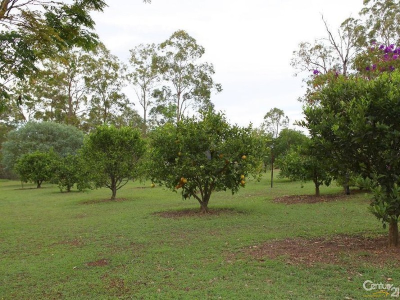 60 Buckingham Crt, Mount Hallen QLD 4312