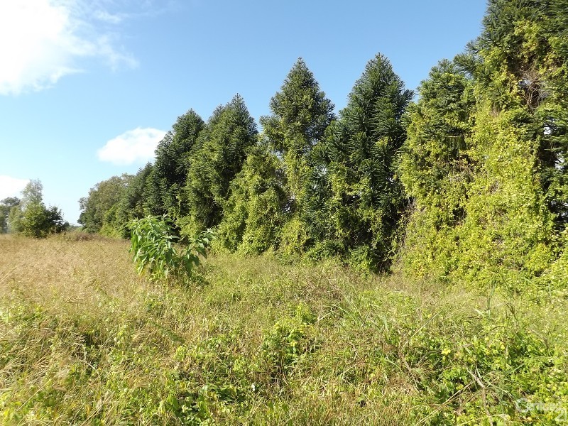 Lot 20 Clarendon Road, Clarendon QLD 4311