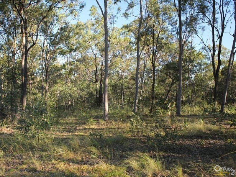 19 Lawrence Crt, Regency Downs QLD 4341