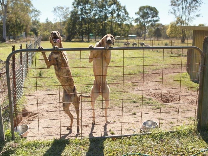 1236 Gatton Esk Rd, Spring Creek QLD 4343