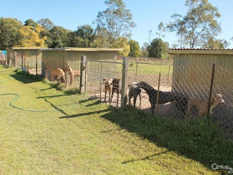 1236 Gatton Esk Rd, Spring Creek QLD 4343