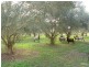 Wivenhoe Pocket QLD 4306