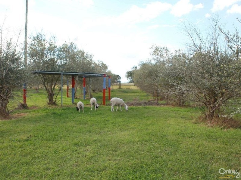 Wivenhoe Pocket QLD 4306
