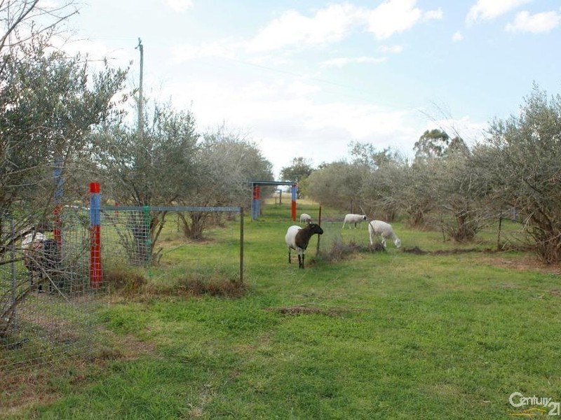 Wivenhoe Pocket QLD 4306