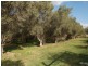 Wivenhoe Pocket QLD 4306