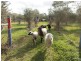 Wivenhoe Pocket QLD 4306
