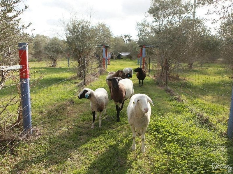 Wivenhoe Pocket QLD 4306