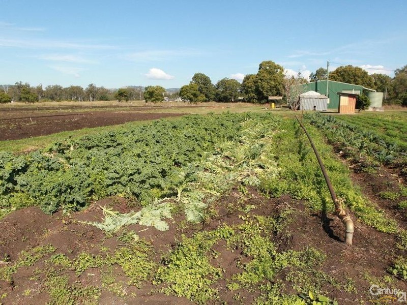 82 Patrick Estate Rd, Patrick Estate QLD 4311