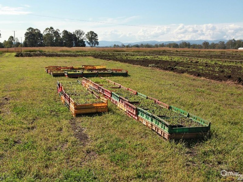 82 Patrick Estate Rd, Patrick Estate QLD 4311