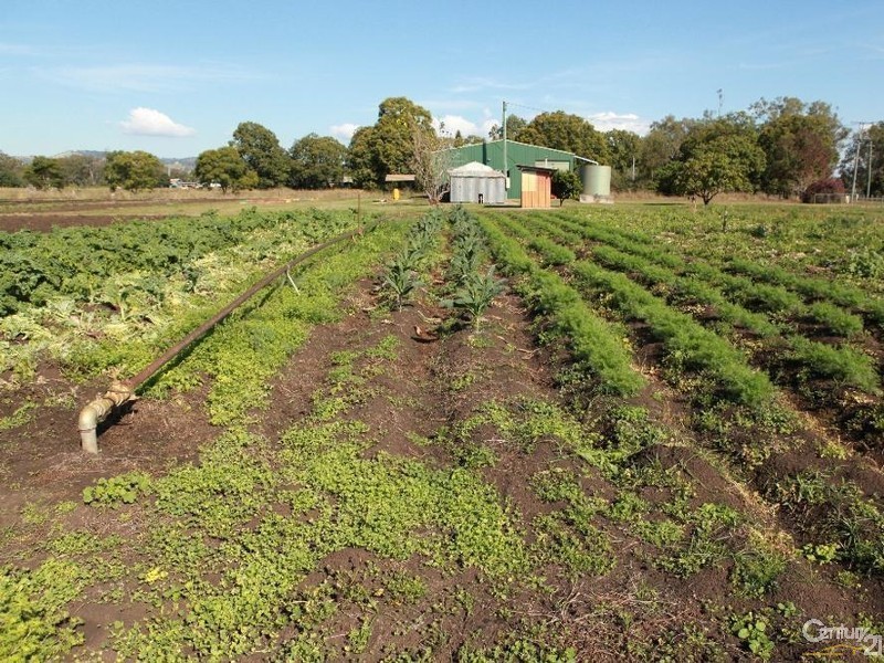 82 Patrick Estate Rd, Patrick Estate QLD 4311