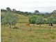 Lot 400 Voss Rd, Glamorgan Vale QLD 4306