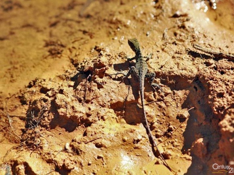 Lot 12 Brisbane Valley Hwy, Wivenhoe Hill QLD 4311