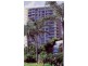 33/4 Thornton St, Surfers Paradise QLD 4217