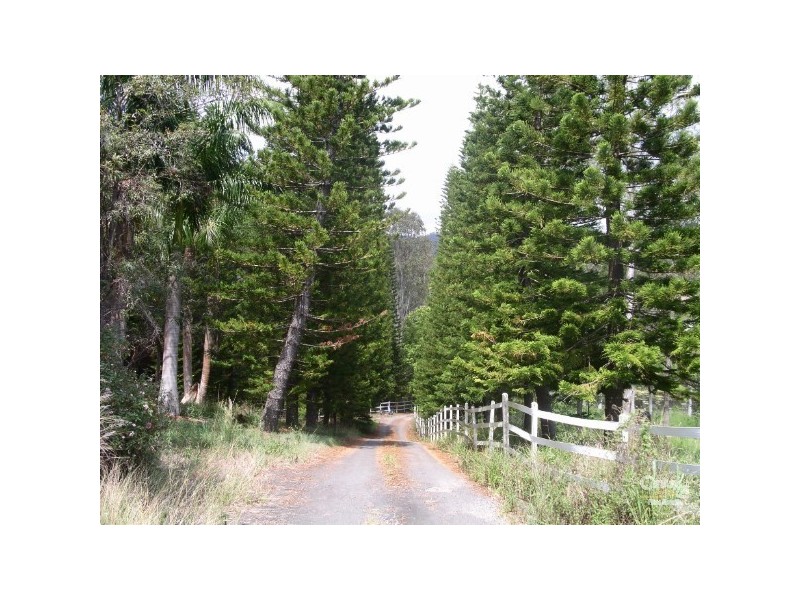 299 & 301 RESERVE RD, Upper Coomera QLD 4209