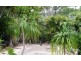 299 & 301 RESERVE RD, Upper Coomera QLD 4209