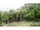 299 & 301 RESERVE RD, Upper Coomera QLD 4209