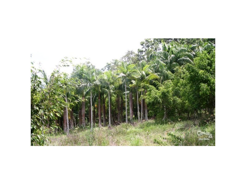 299 & 301 RESERVE RD, Upper Coomera QLD 4209