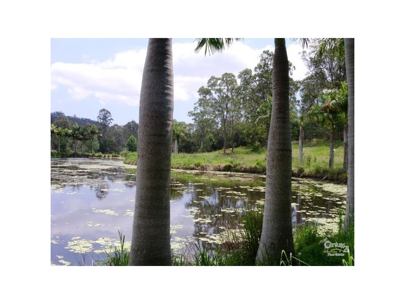 299 & 301 RESERVE RD, Upper Coomera QLD 4209