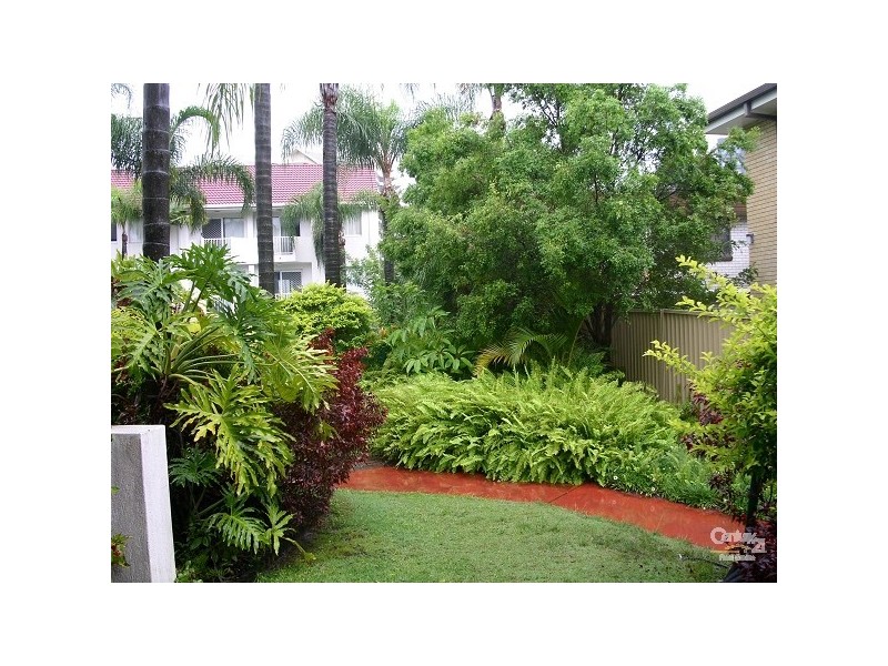 17 Genoa Street, Surfers Paradise QLD 4217