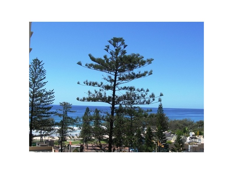 11 Elkhorn Avenue, Surfers Paradise QLD 4217