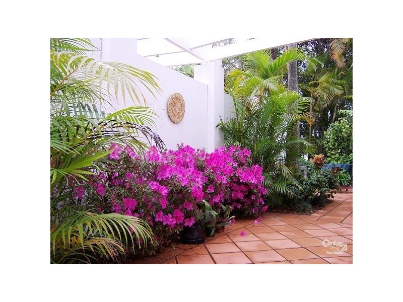 100 Cotlew St East, Southport QLD 4215