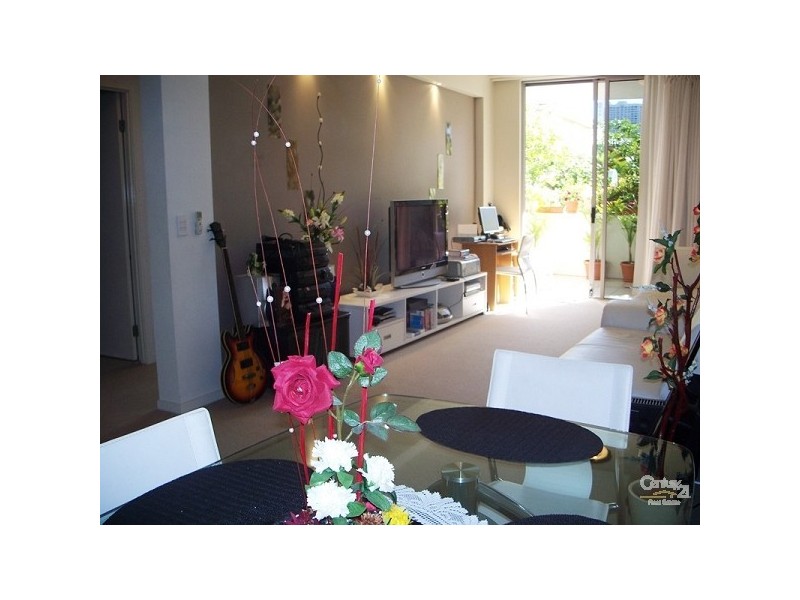 21 Cypress Ave, Surfers Paradise QLD 4217