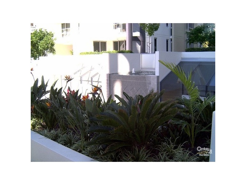 21 Cypress Ave, Surfers Paradise QLD 4217