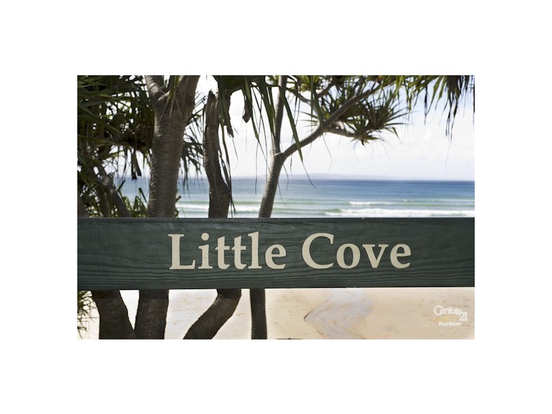 2/2 Pandanus St, Noosa Heads QLD 4567