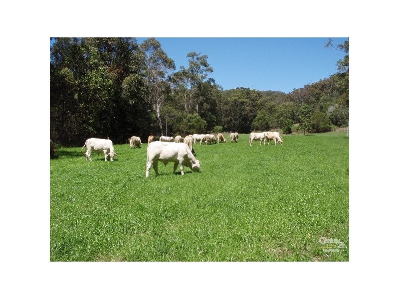 81 Litfin Road, Verrierdale QLD 4562