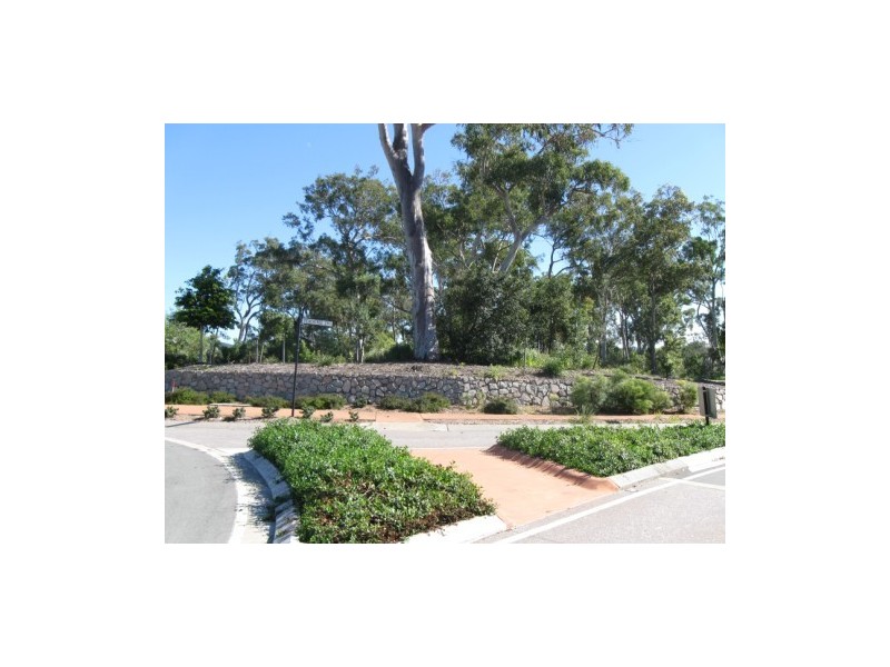 39 Peachtree Crescent, Peregian Springs QLD 4573