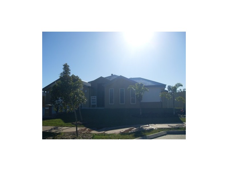 125 The Avenue, Peregian Springs QLD 4573